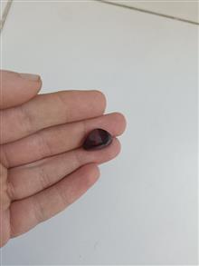 گارنت