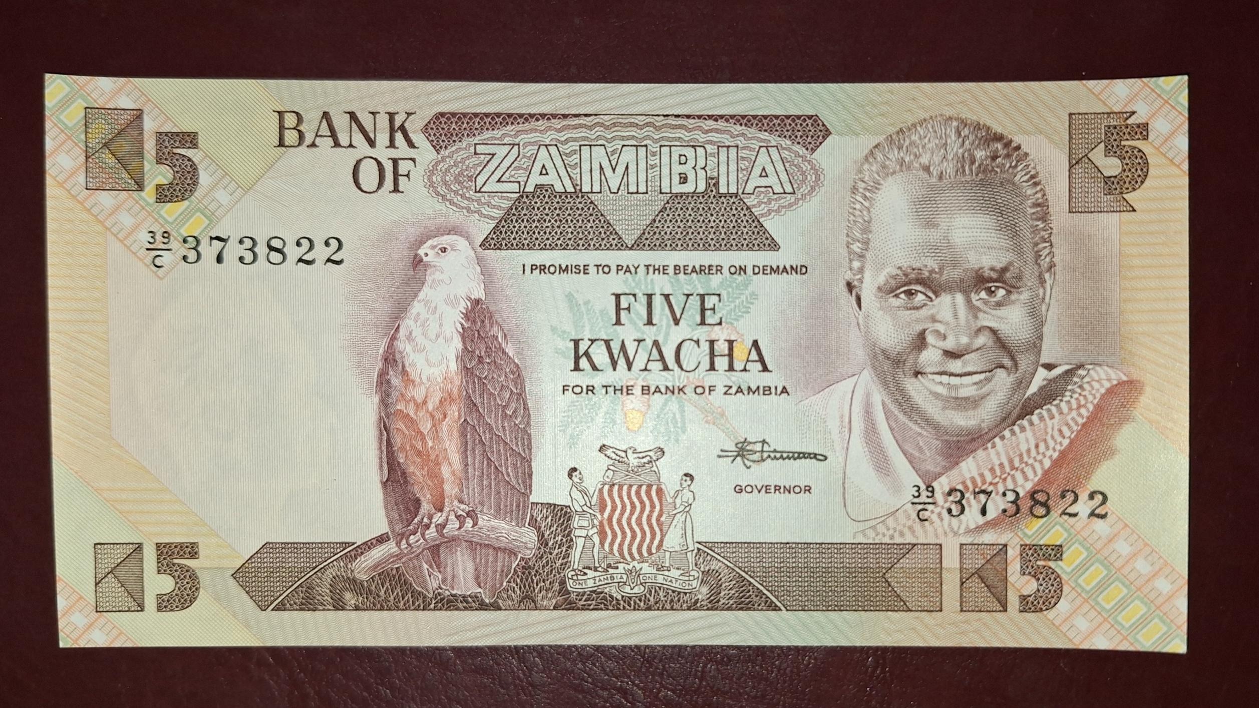 5 کواچا زامبیا تک یانکی