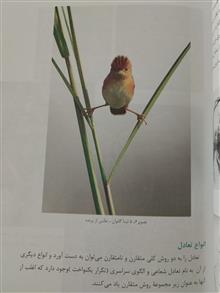 کارگاه