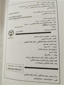 حقوق