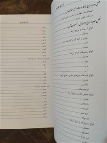 تغذیه