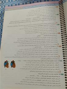 آیکیو