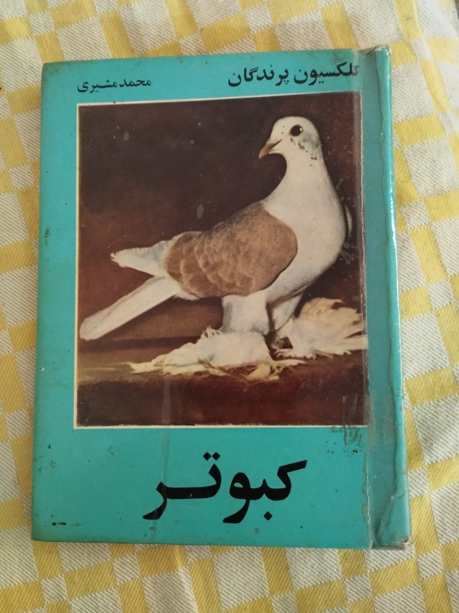 کلکسیون پرندگان ( کبوتر )