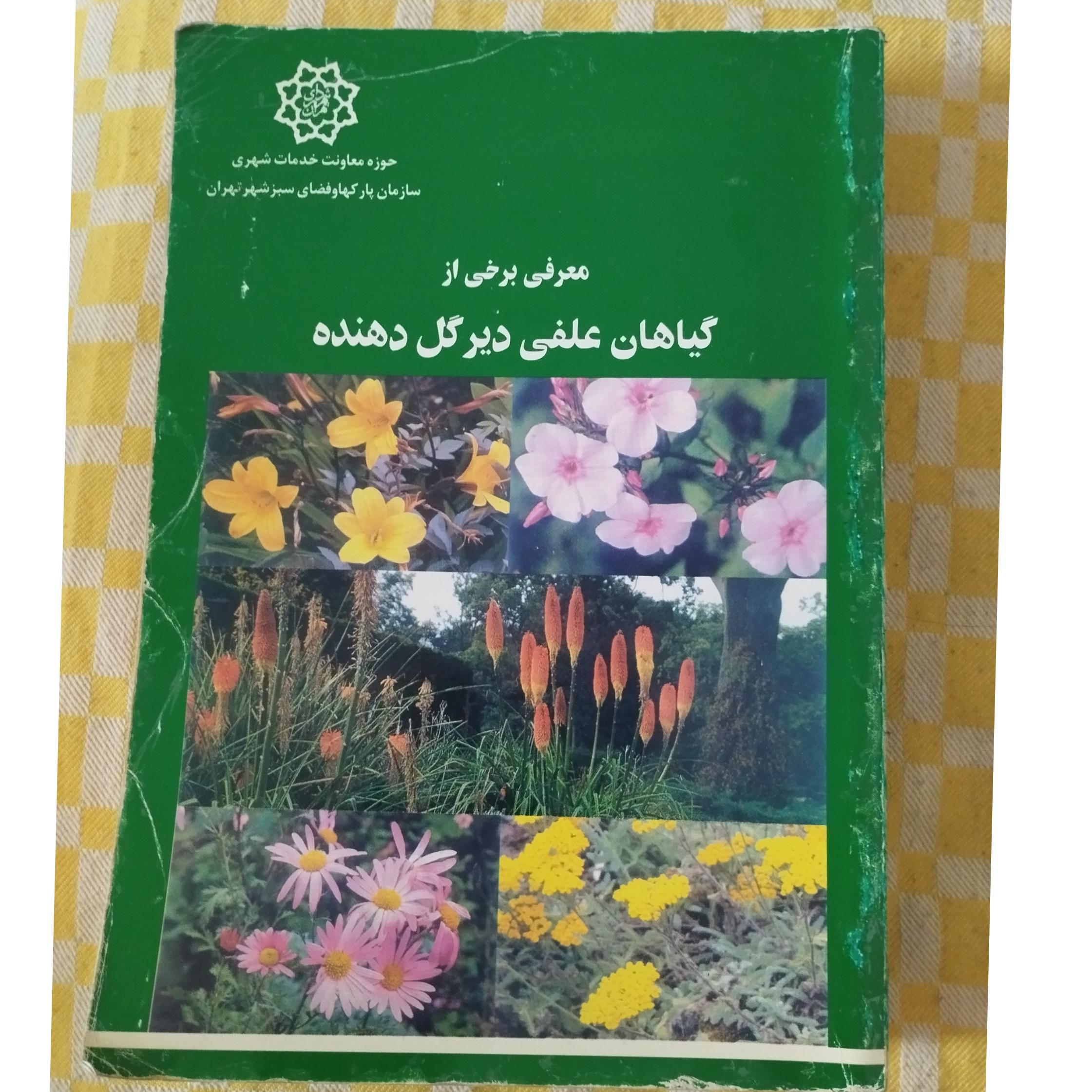گیاهان علفی دیر گل دهنده