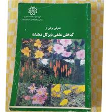 گیاهان