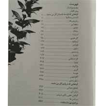 گیاهان