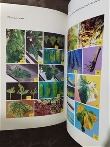 راهنمای