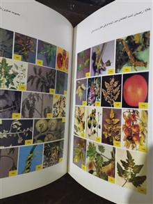راهنمای