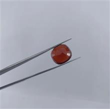 گارنت
