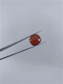 گارنت