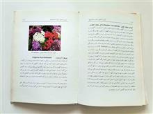 تزئین