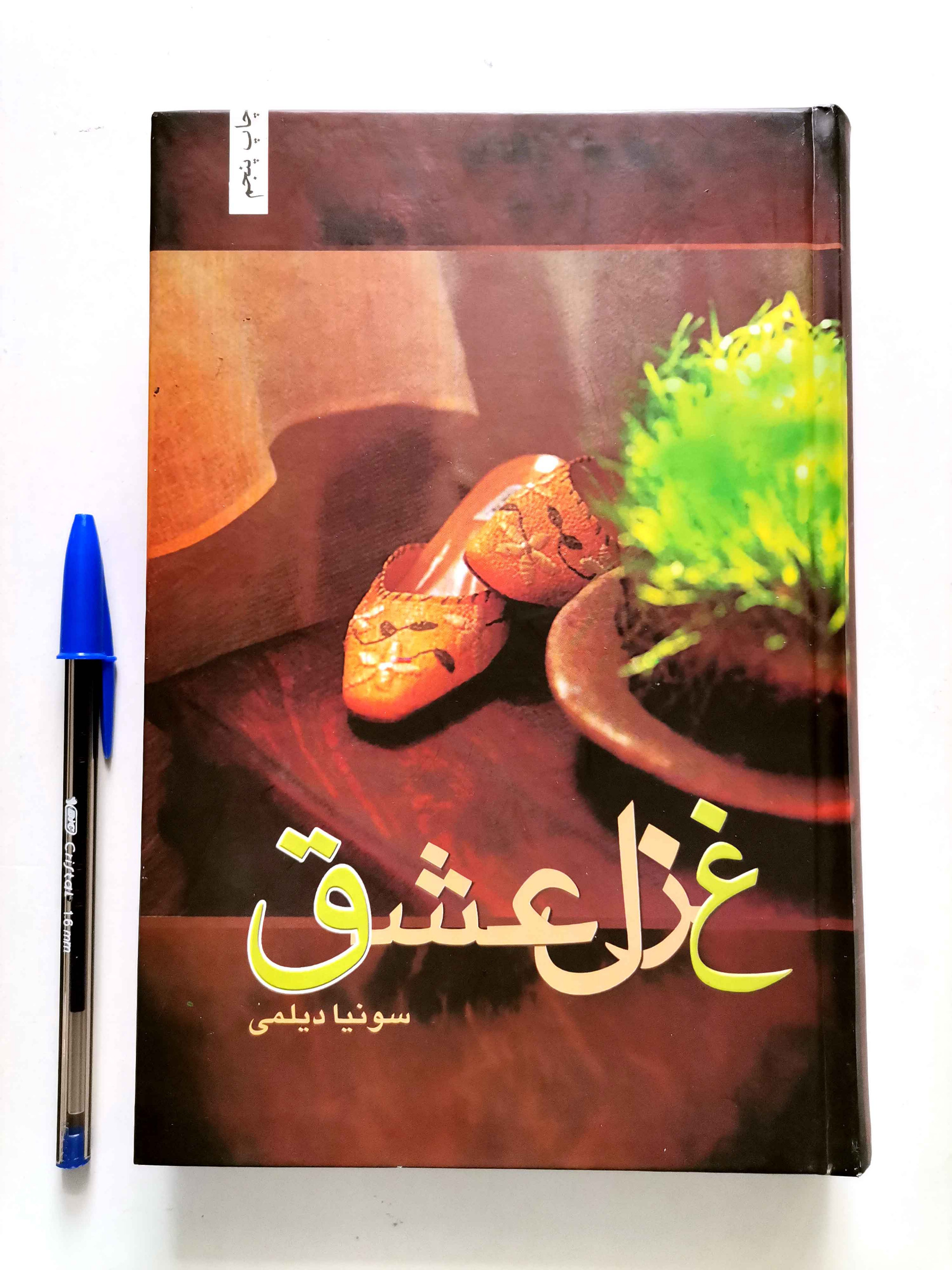 غزل عشق - سونیا دیلمی