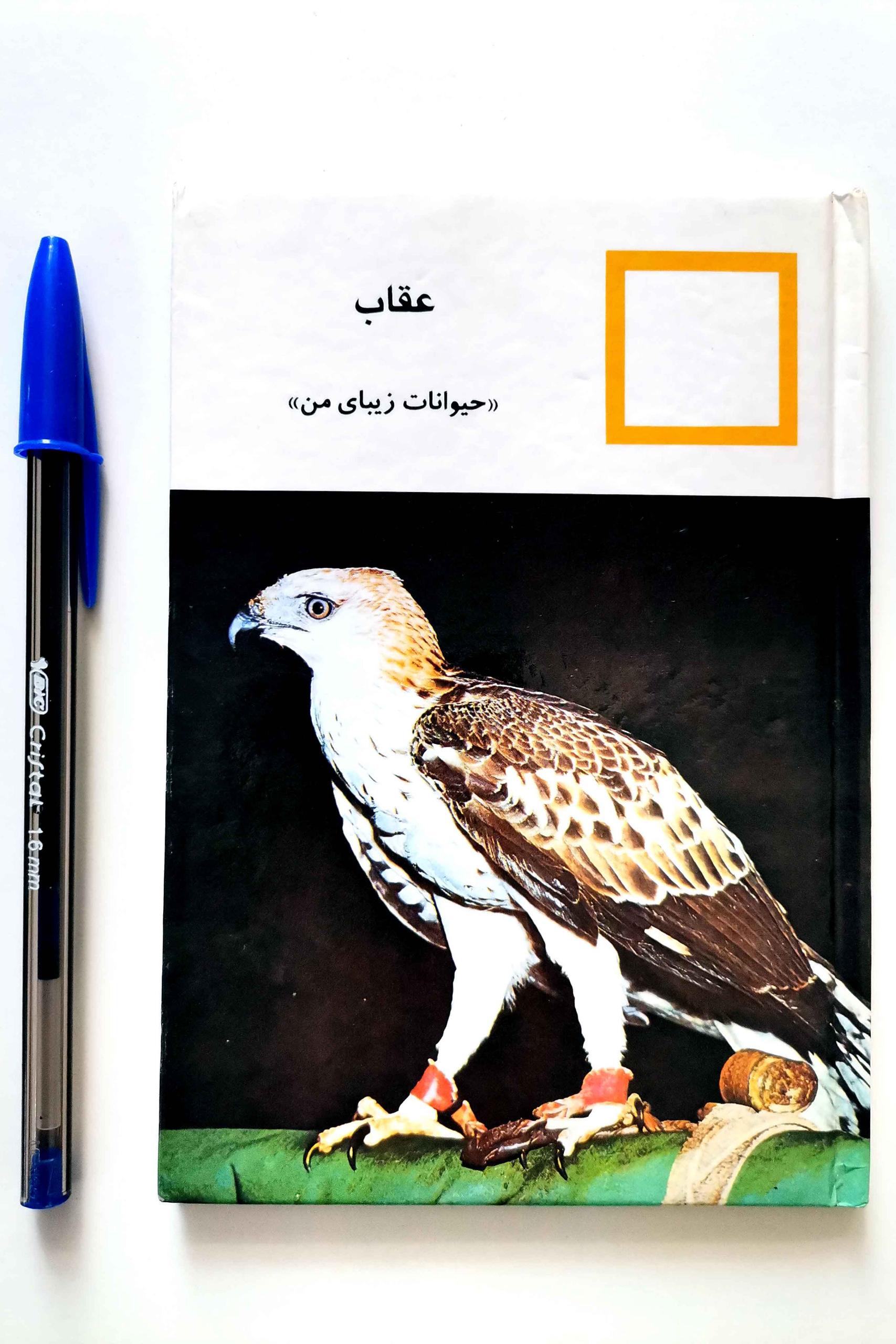 عقاب - از سری حیوانات زیبای من