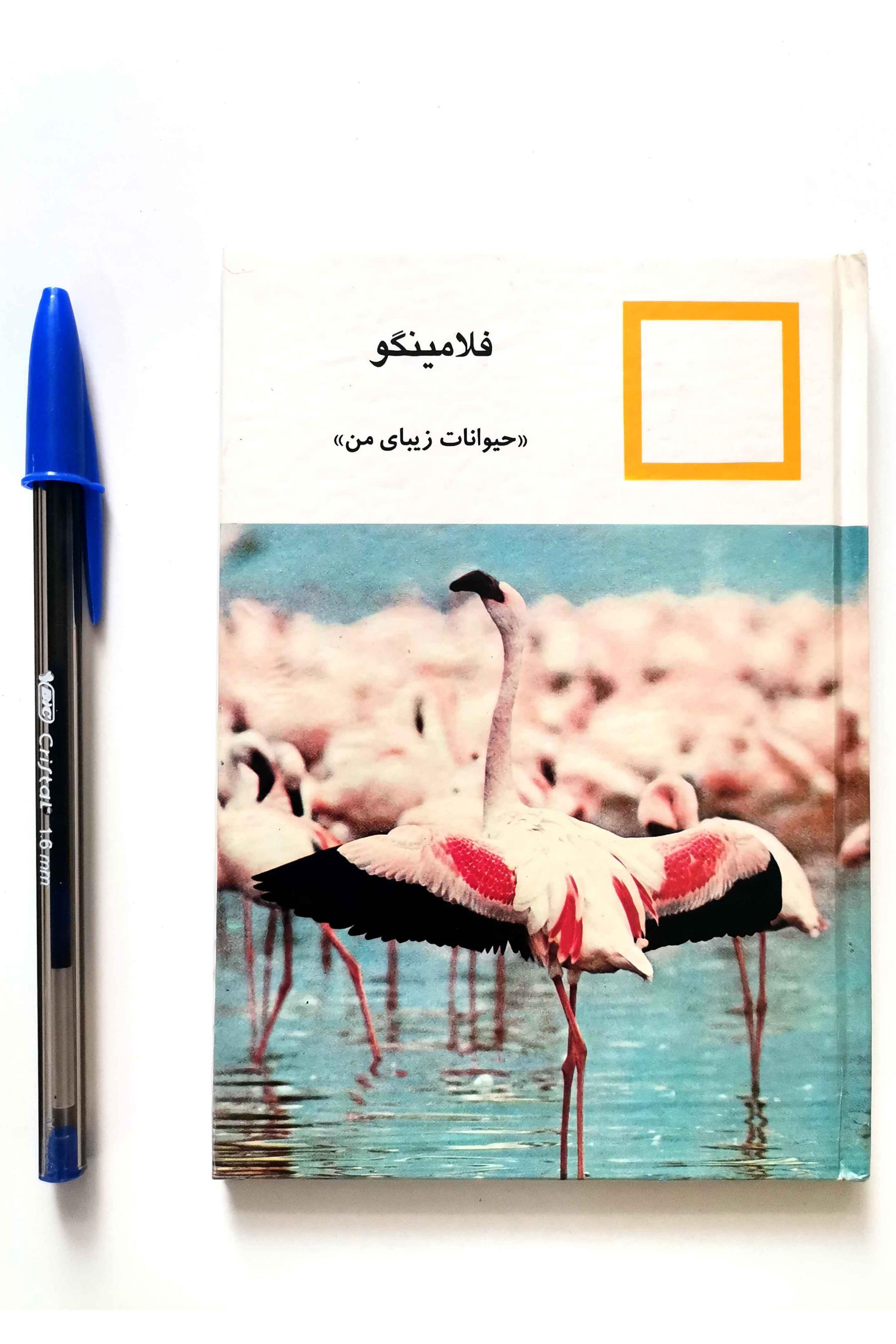 فلامینگو - از سری حیوانات زیبای من