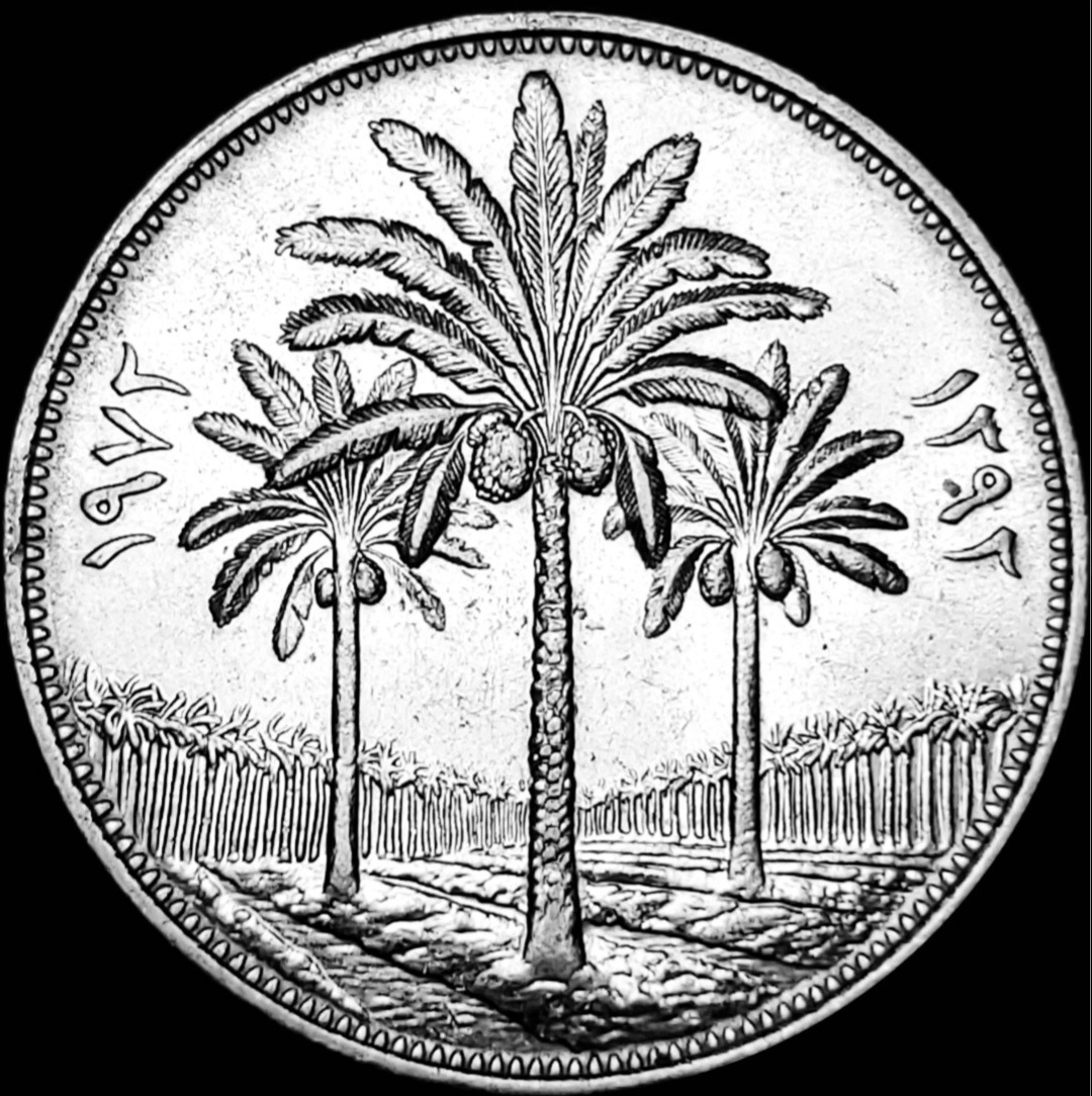 سکه زیبای 250 فلس عراق 1972