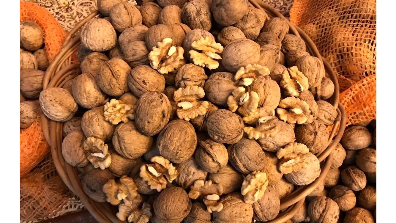 گردوی ایرانی اصل