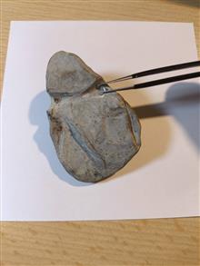 سنگ