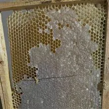 عسل