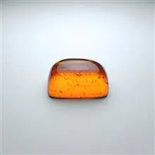 کهربا