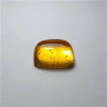 کهربا