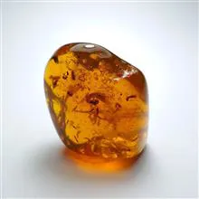 کهربا