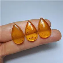 کهربا