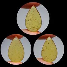 کهربا