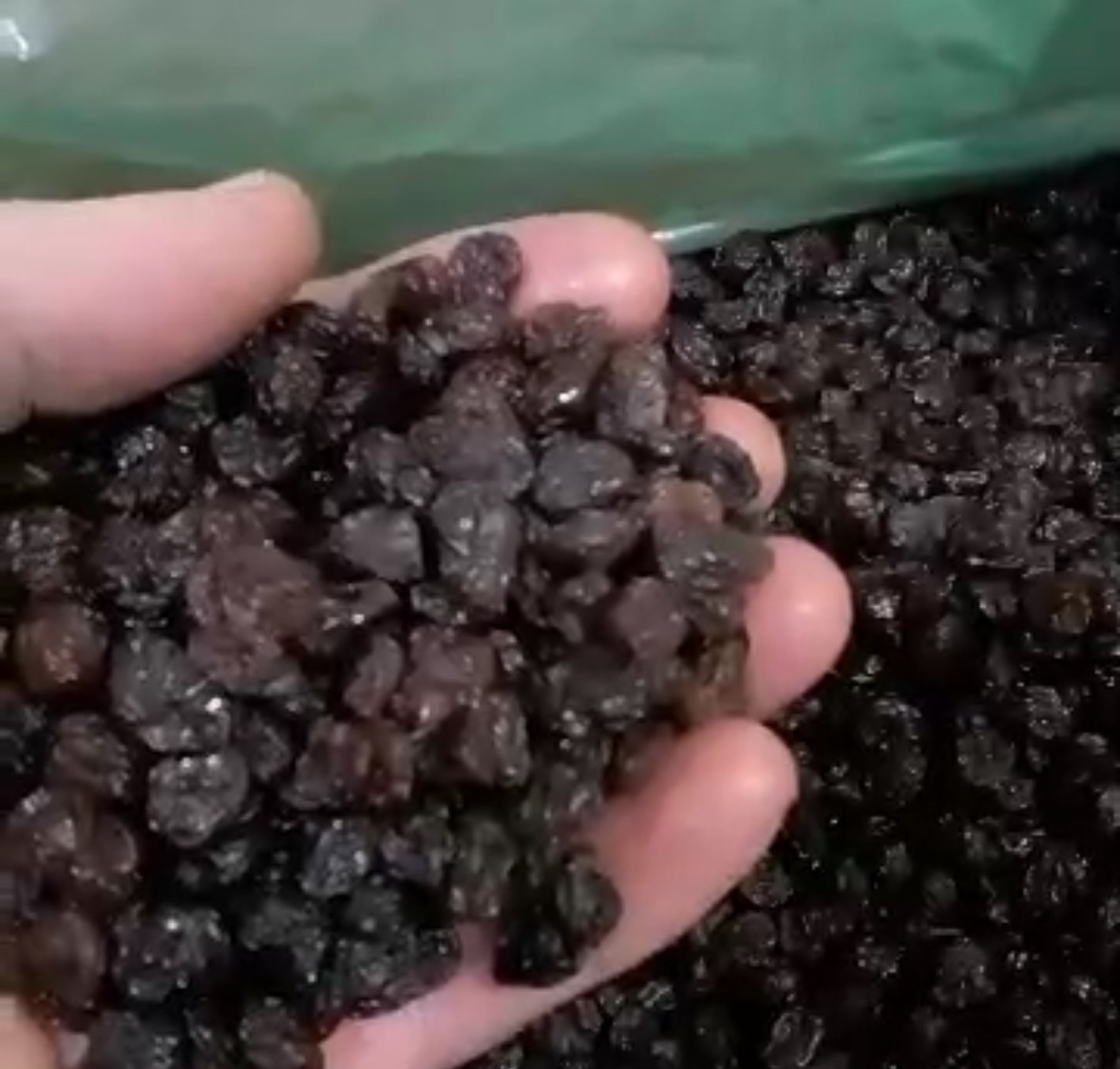 کشمش پلویی 1 کیلوگرم عالیا