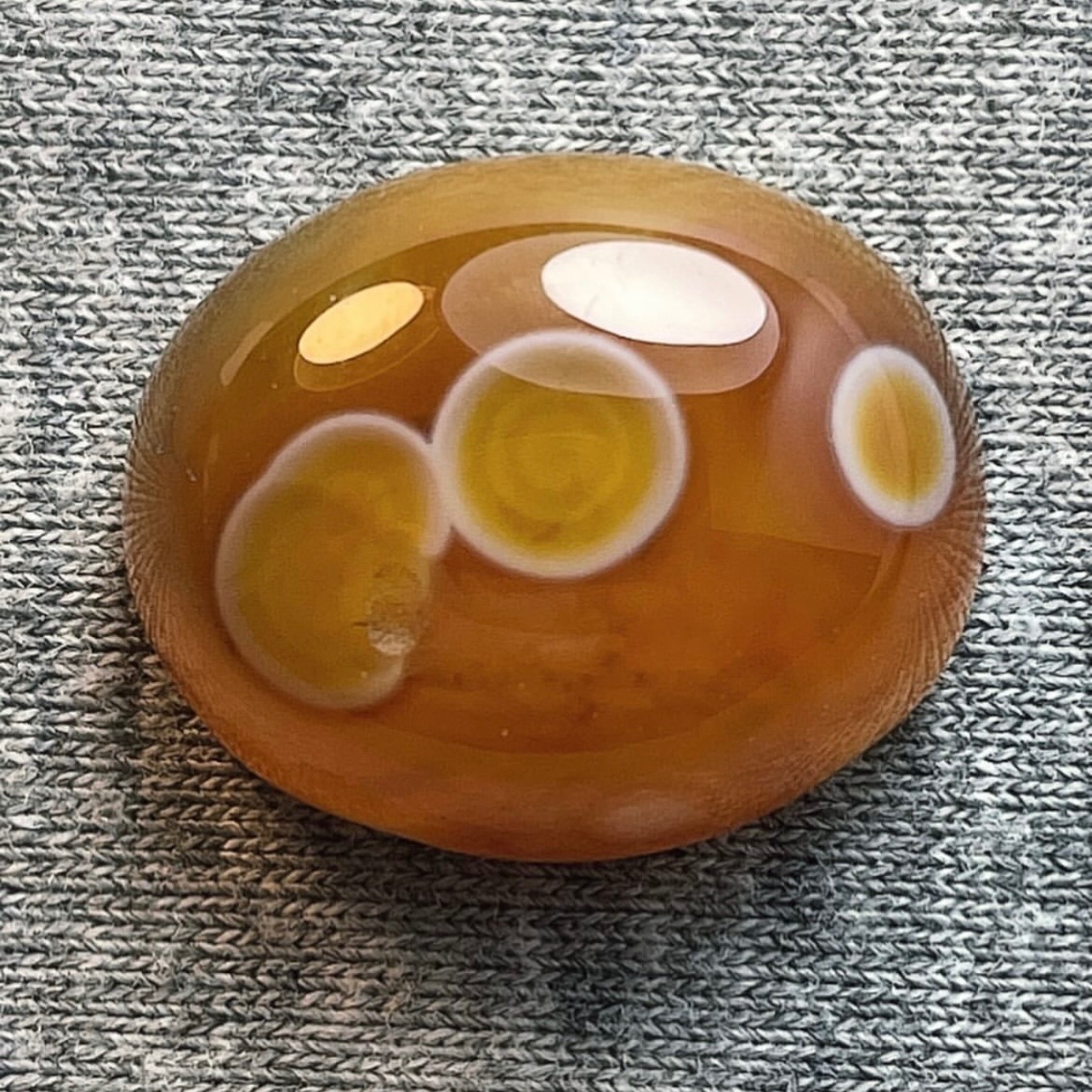 باباقوری طبیعی زیبا