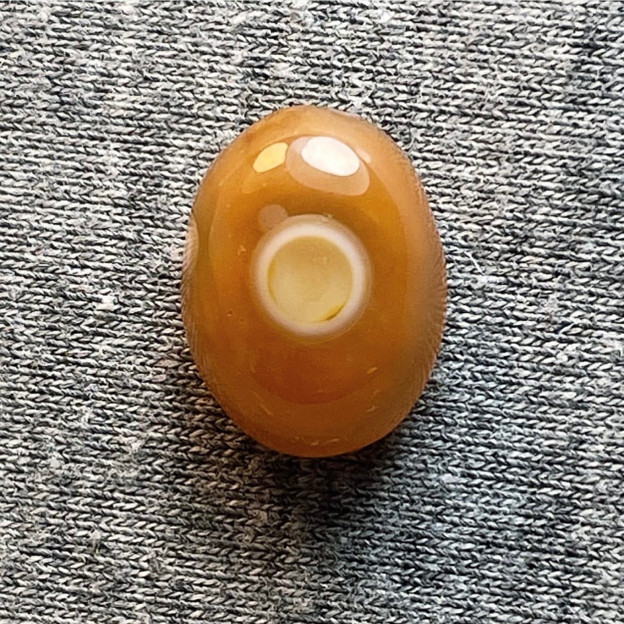 باباقوری تکخال طبیعی