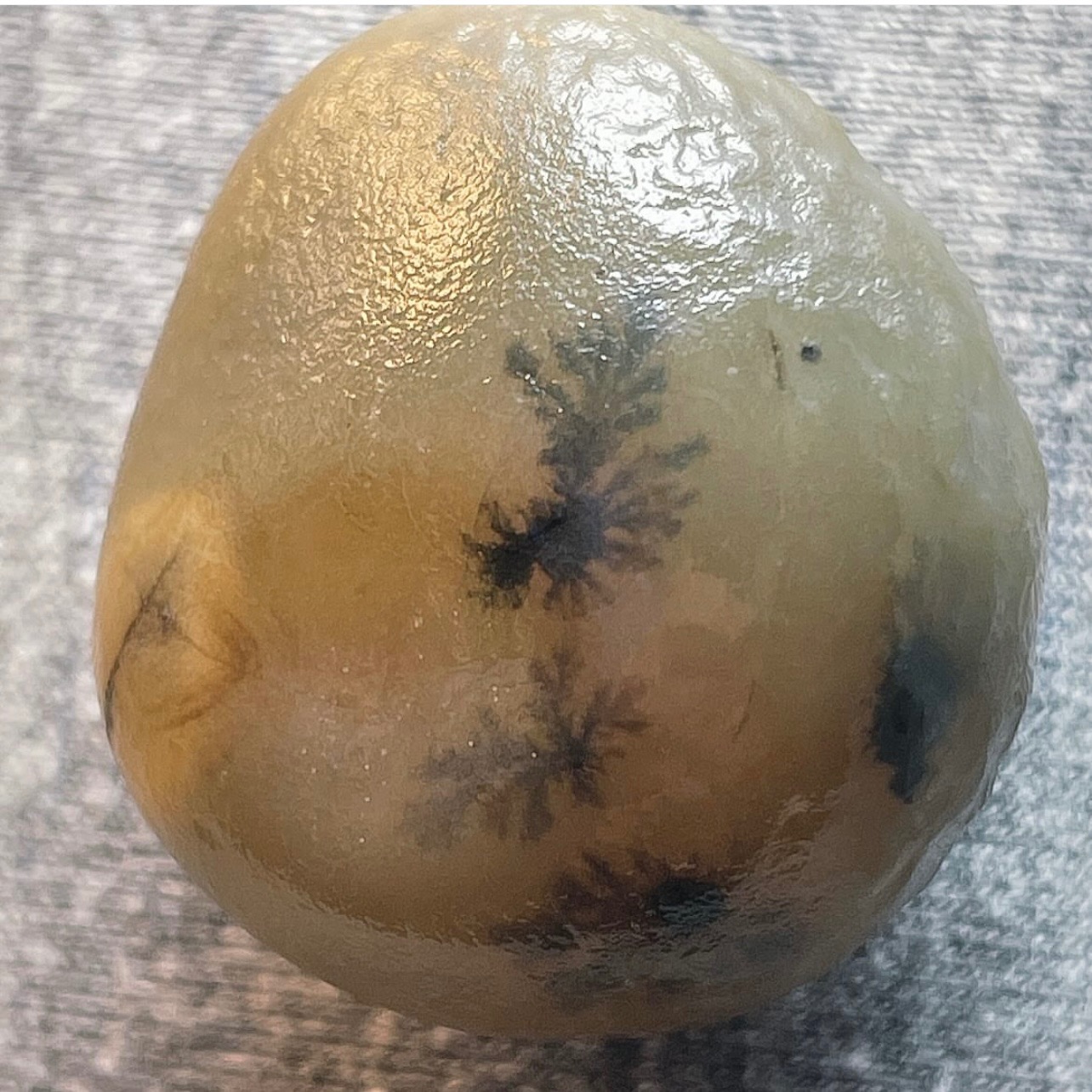 راف توپی شجر قاین گل مشکی زمینه زرد