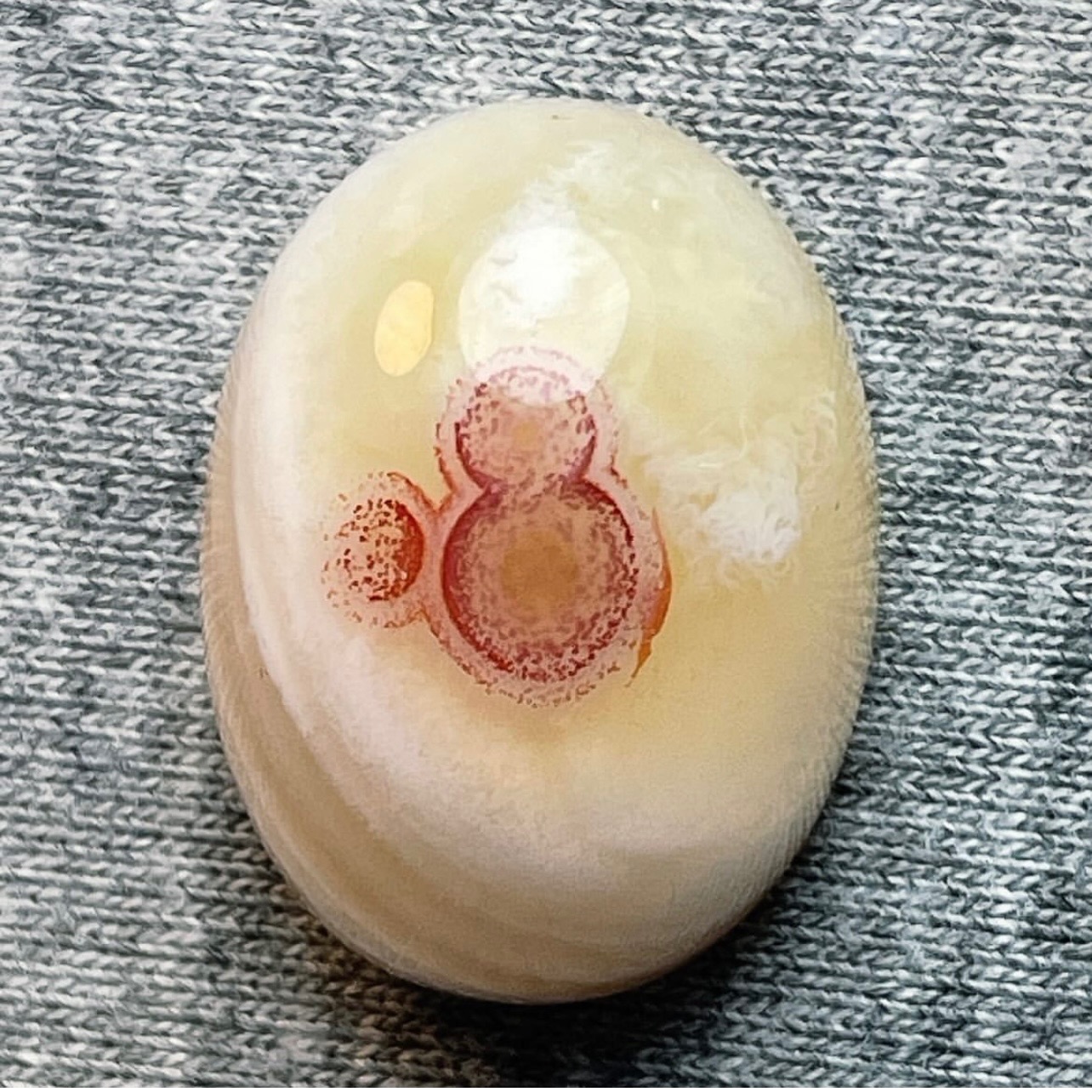 باباقوری طبیعی کلکسیونی