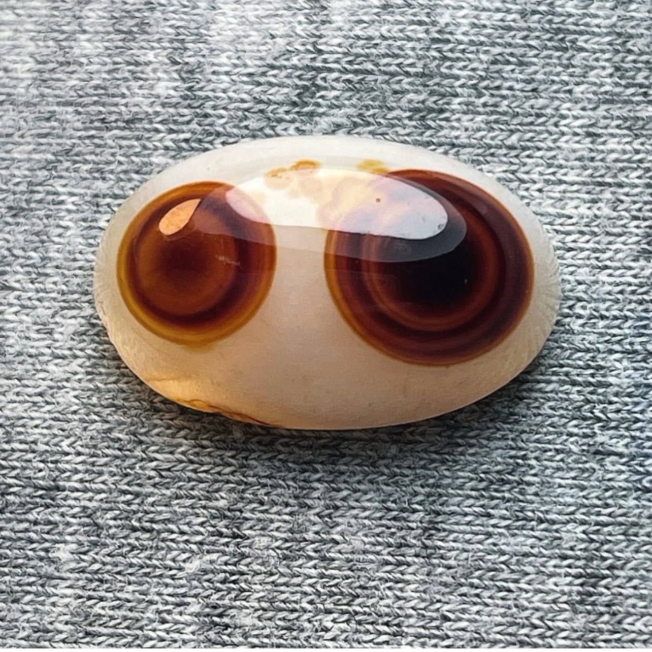 باباقوری دوچشم طبیعی زیبا