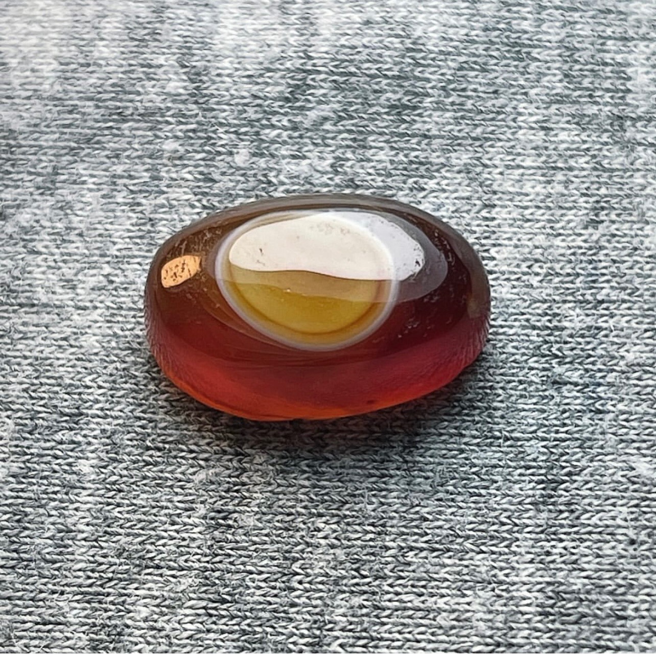 باباقوری سرخ طبیعی زیبا