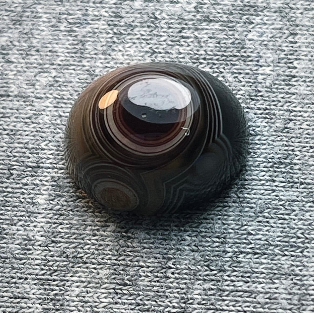 باباقوری طبیعی کلکسیونی