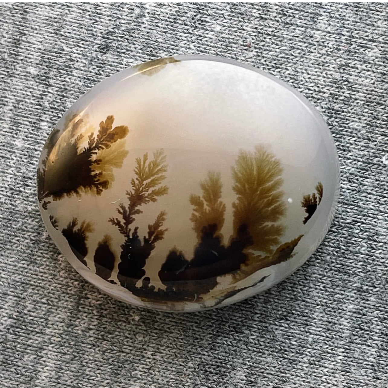 عقیق شجر طبیعی قاین