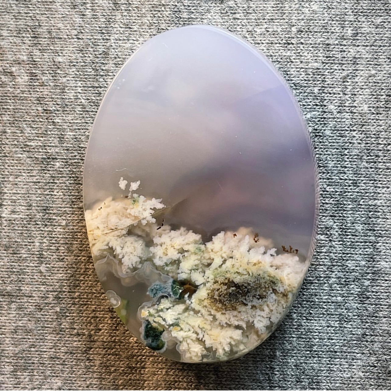 شجر طبیعی بهاری