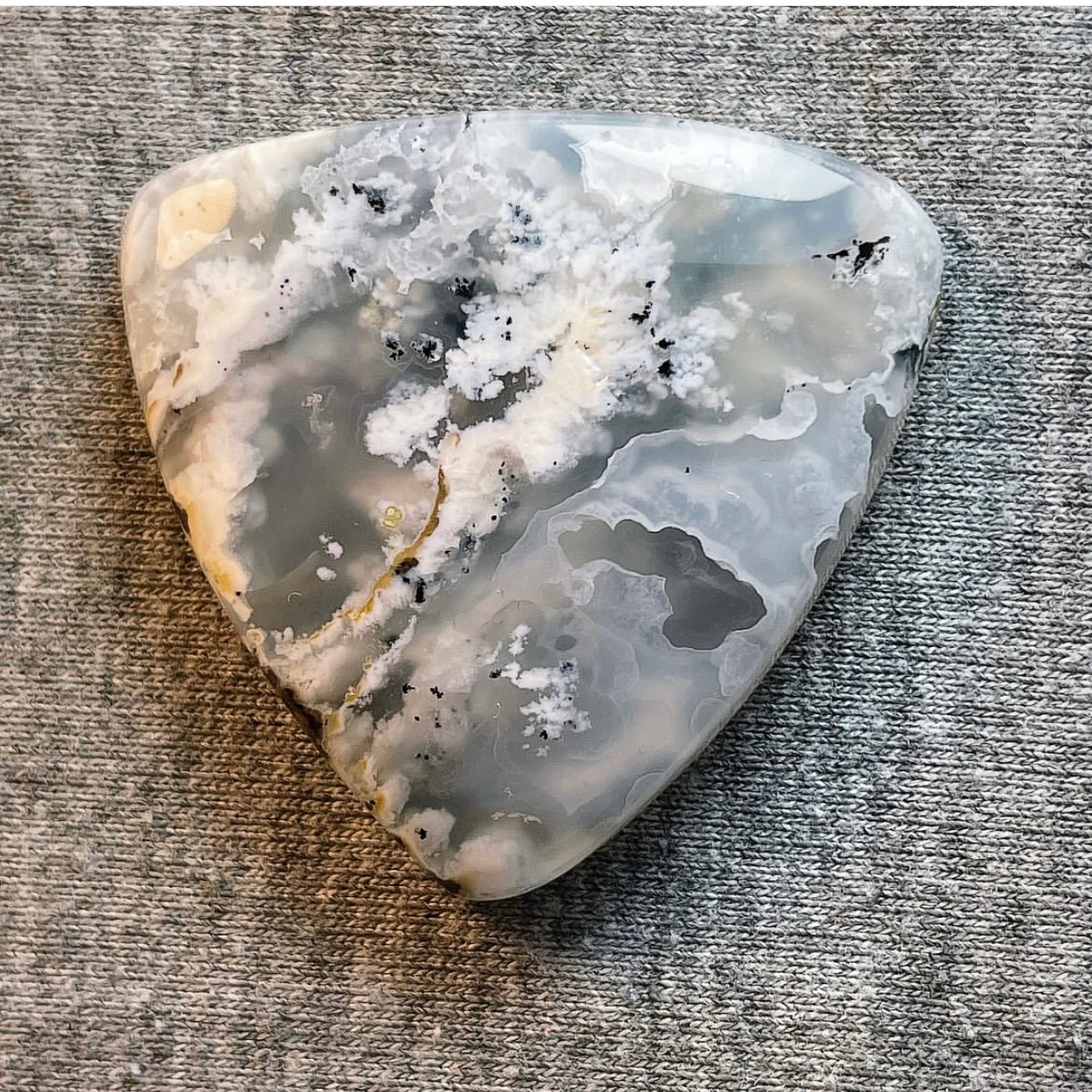 شجر بهاری طبیعی