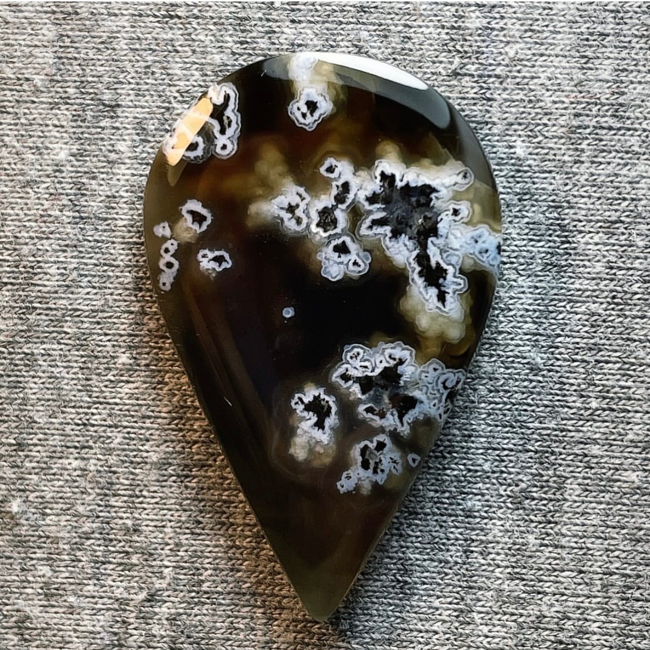 شجر طبیعی زیبا