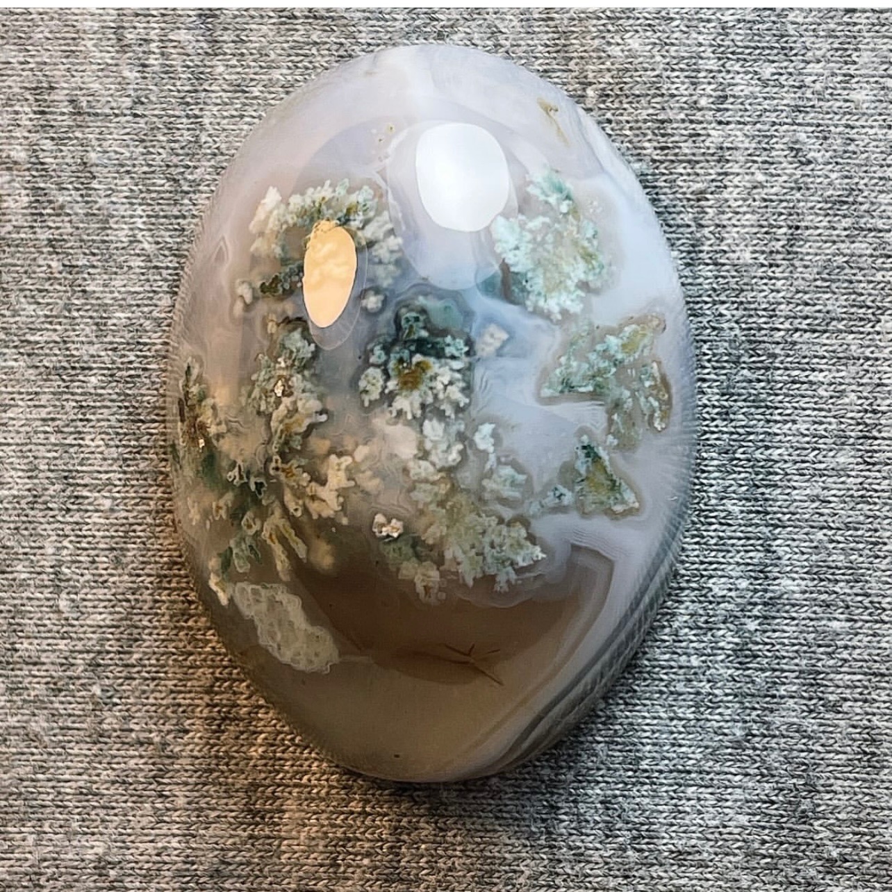 شجر بی نظیر طبیعی بهاری چند رنگ