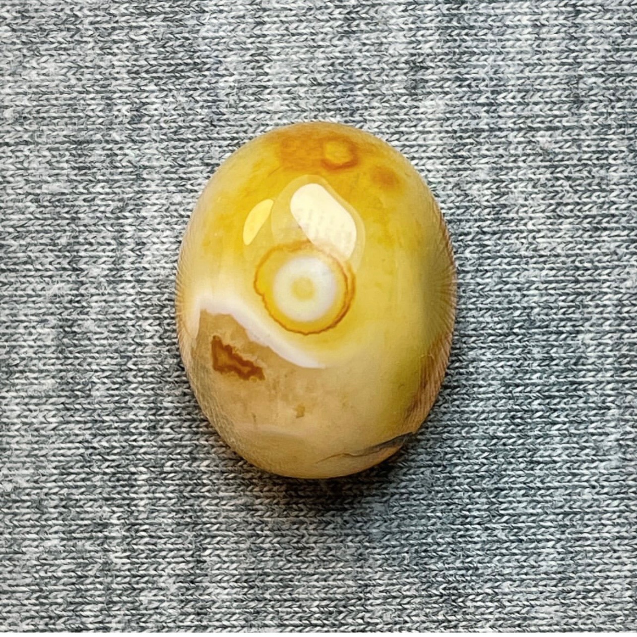 باباقوری طبیعی تکخال