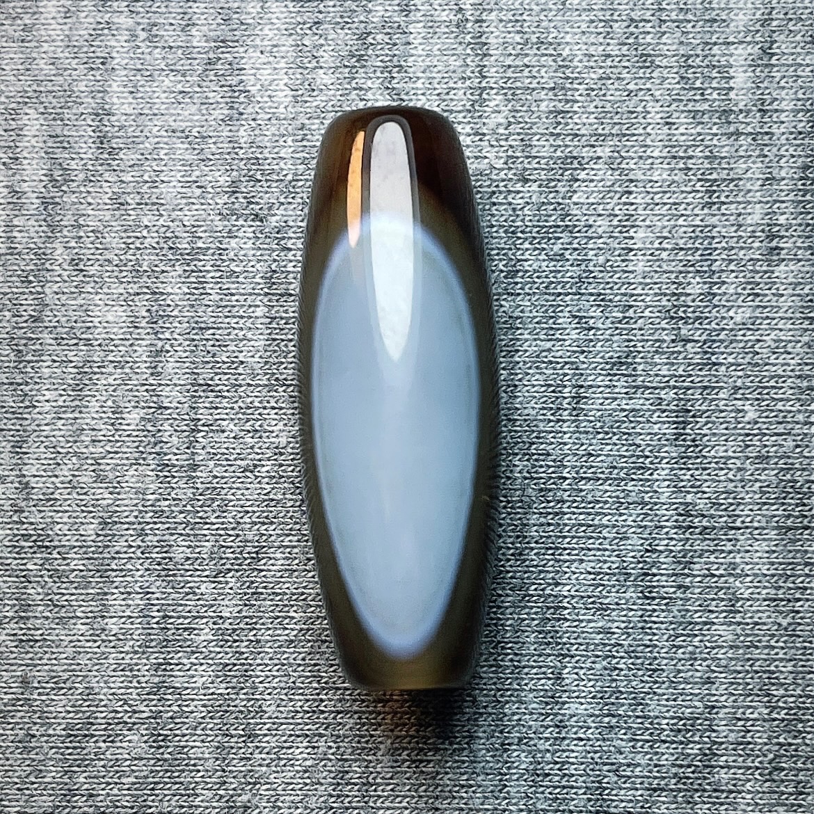 مهره سلیمانی داوودی اصل