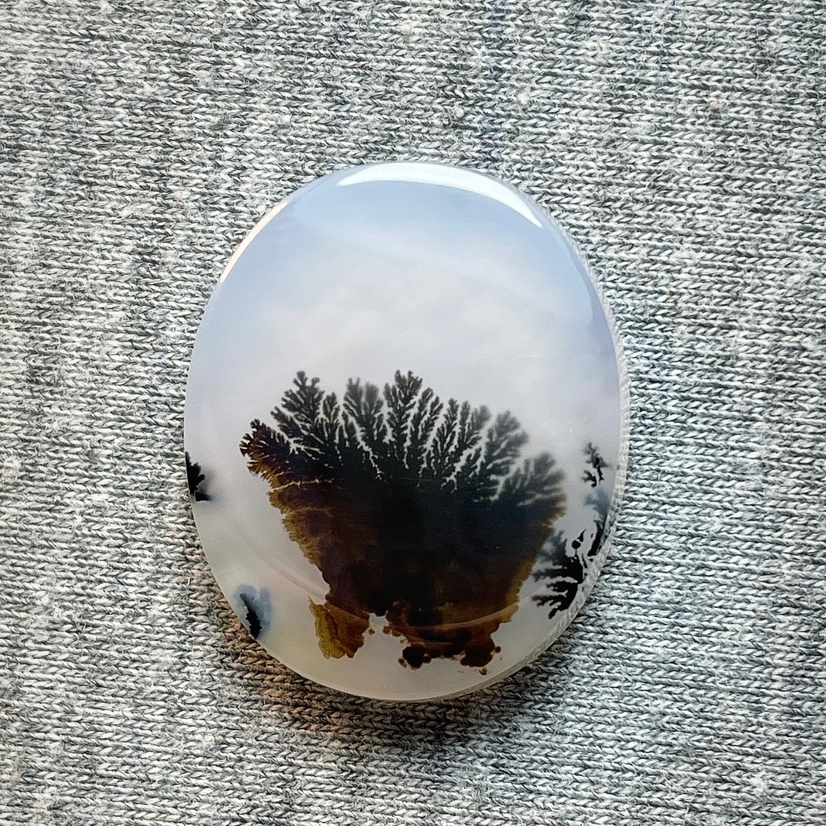 شجر درجه یک قاین