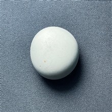 گوی