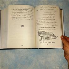 تاریخ