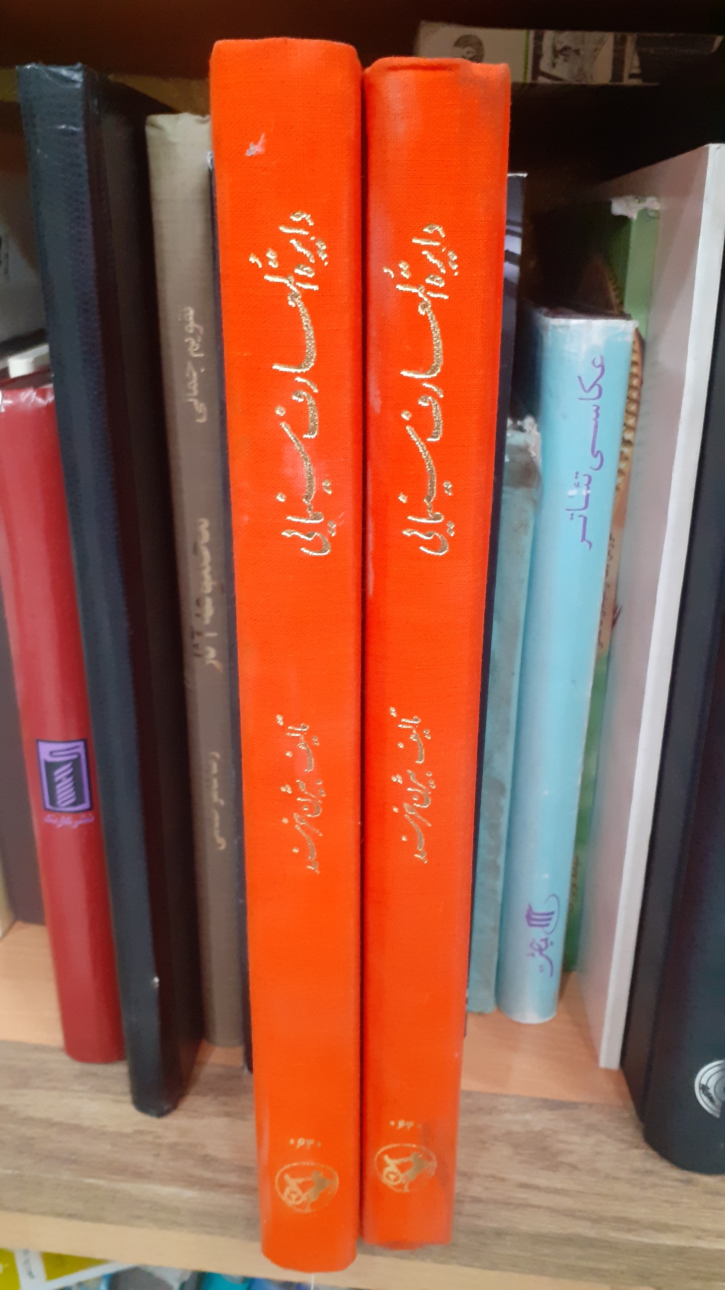 دایرت المعارف سینمایی بیژن خرسند