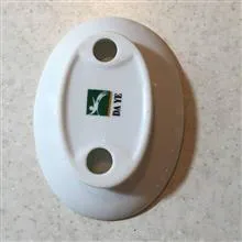 جاصابونی