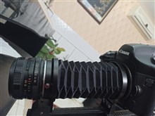 Lens