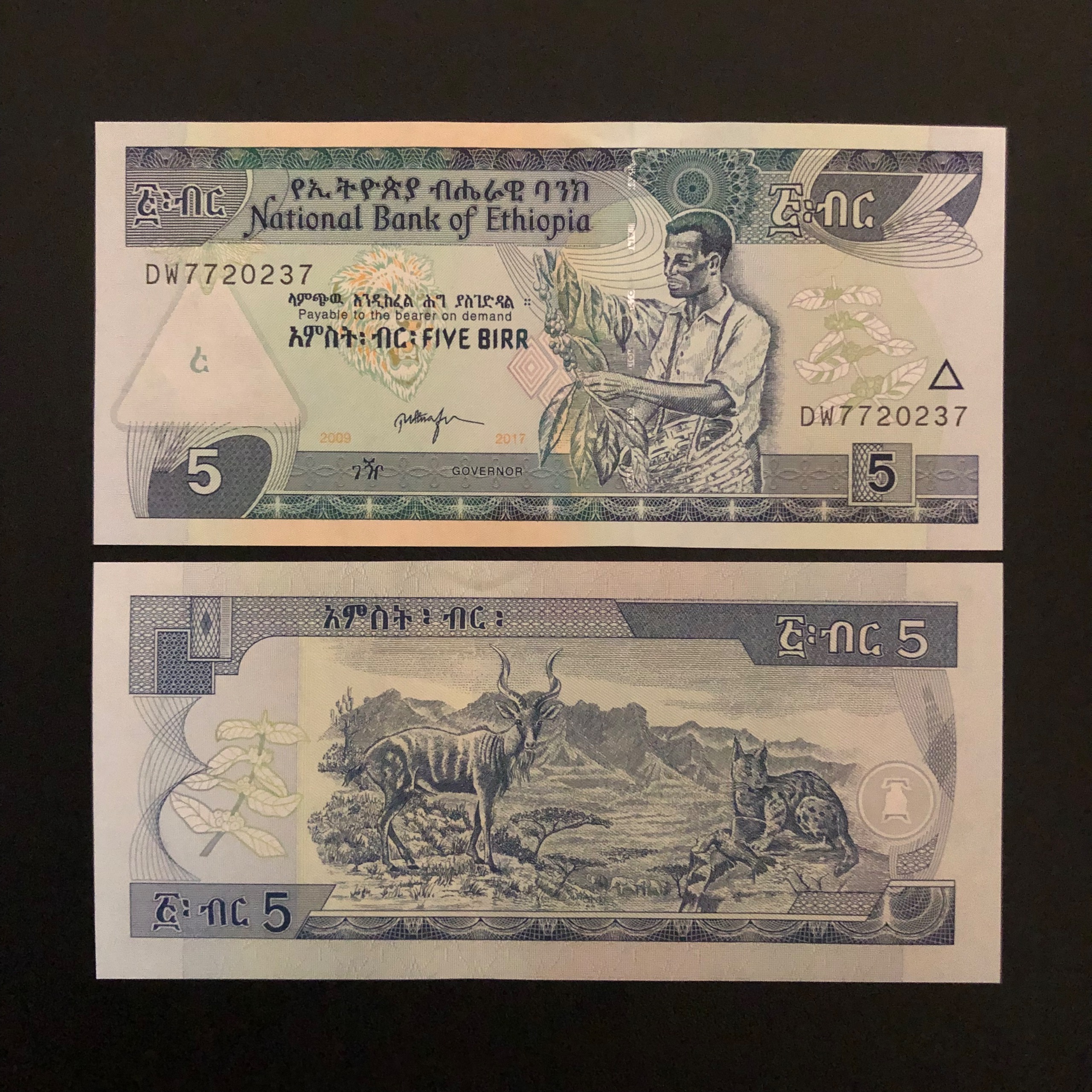 اسکناس تک بانکی 5 بیر اتیوپی شماره متفاوت
