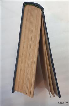 امام